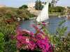 Pyramisa Isis Island Resort & SPA 